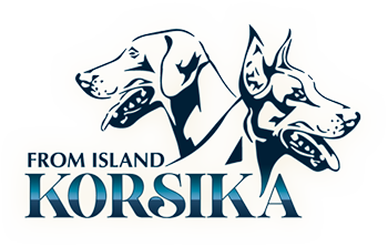 From Island Korsika dobermann kennel